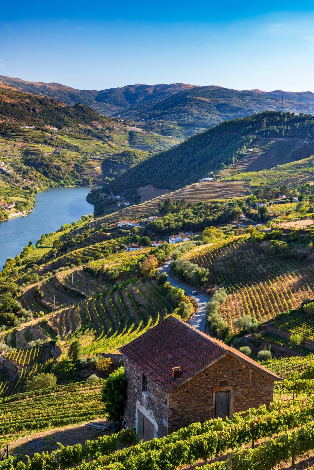 View over the Douro valley from a bed and breakfast in Mesao Frio, Portugal.
